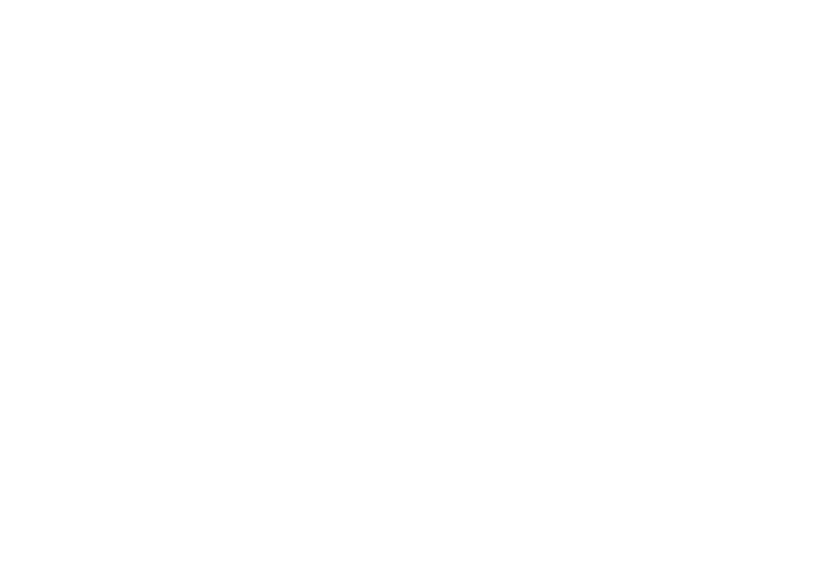 leffet-boeuf-logo