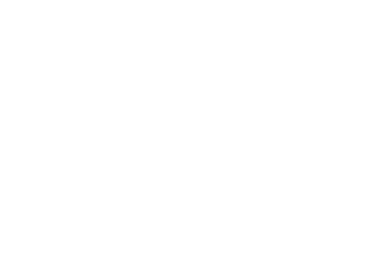 leffet-boeuf-logo