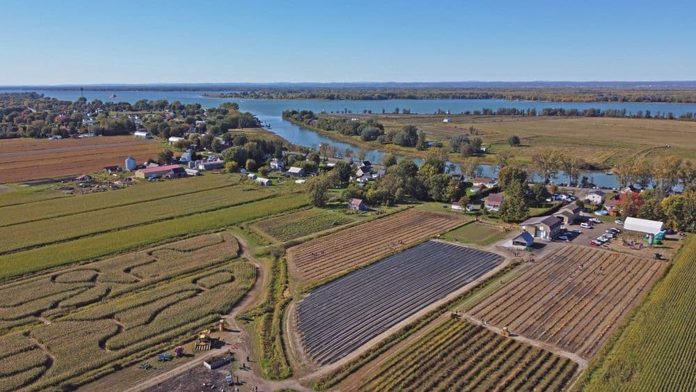 agroalimentaire-ferme-du-barbu