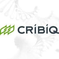 CRIBIQ logo