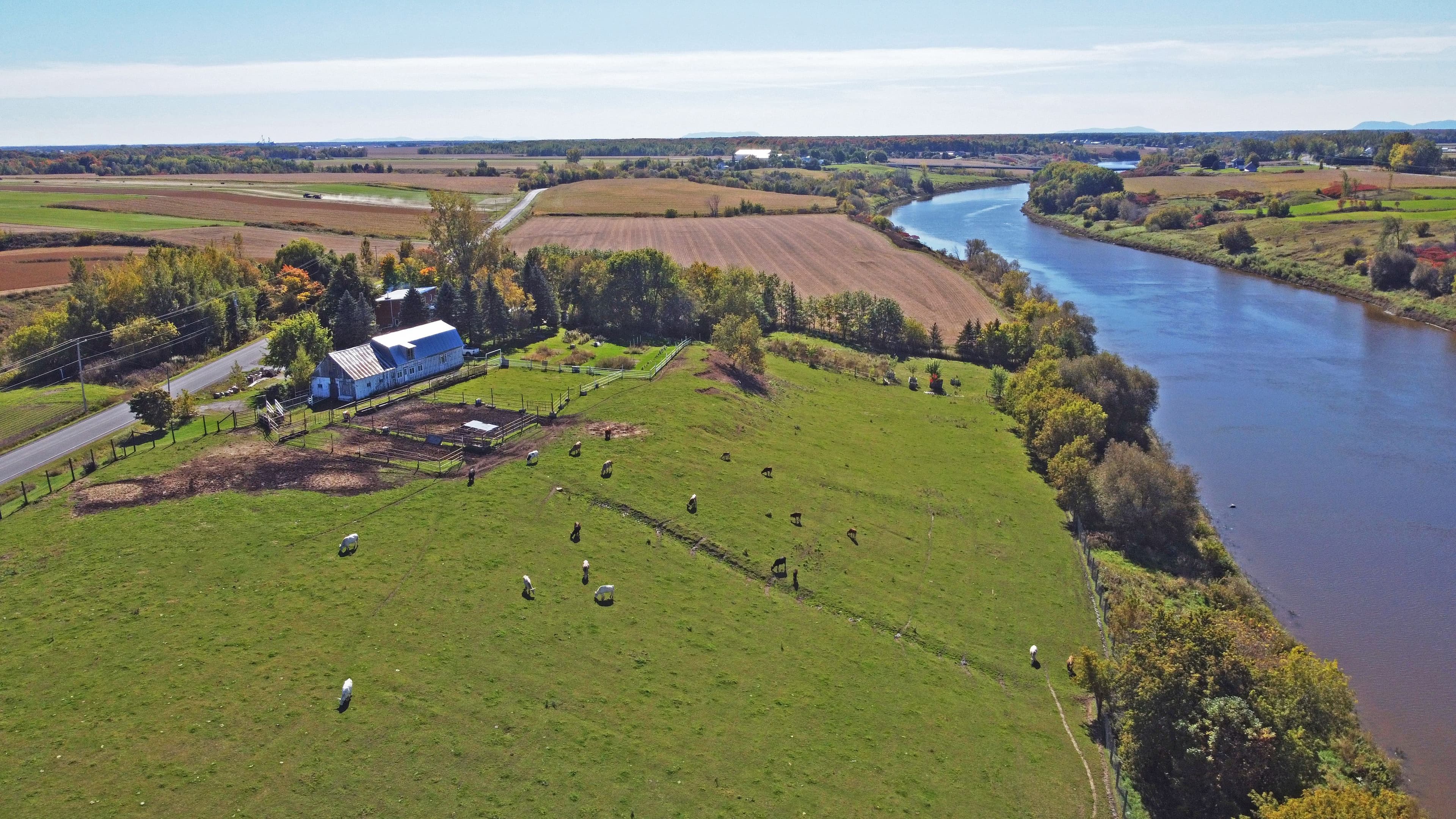 Ferme laitière MRC de Pierre-De Saurel
