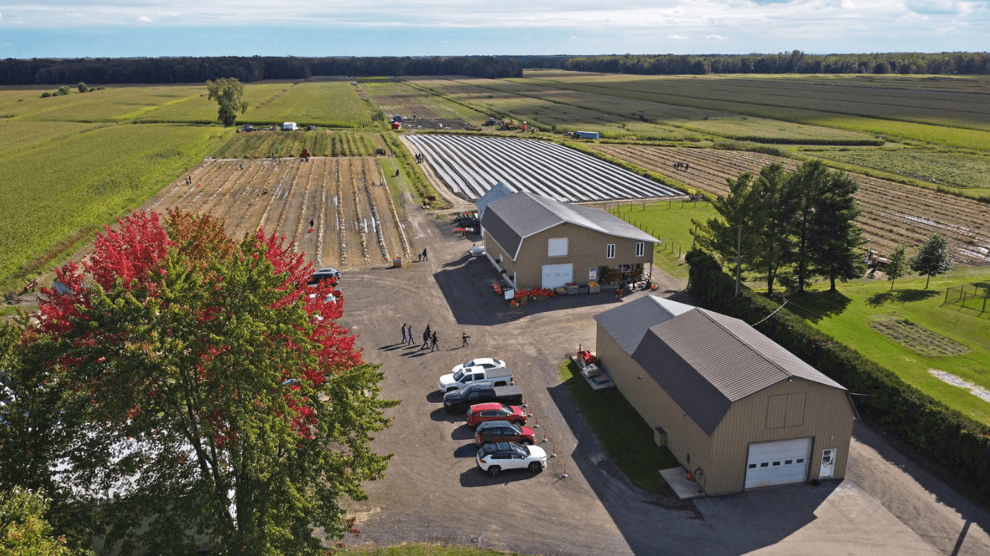 Support for Agro businesses