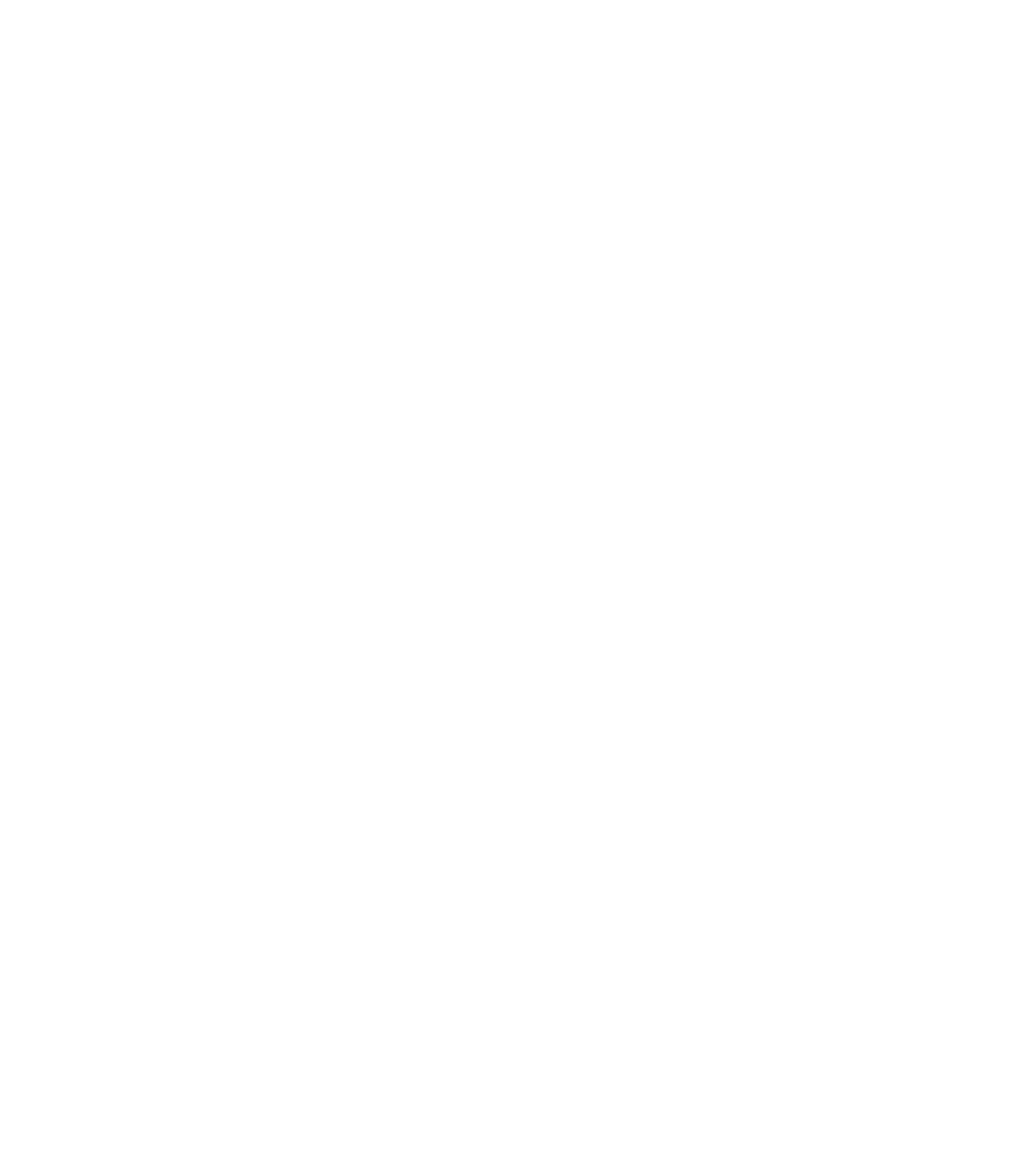 salle-de-presse-contact-illustration-oiseau